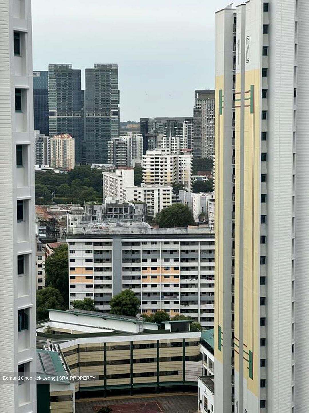 Piccadilly Grand (D8), Apartment #505069771